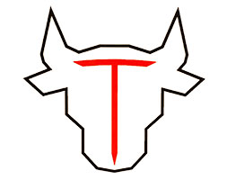 Toro Roofing LLC logo